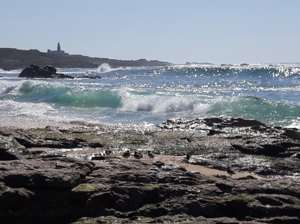 Hostal en la playa de Balieiros Corrubedo Exterior foto